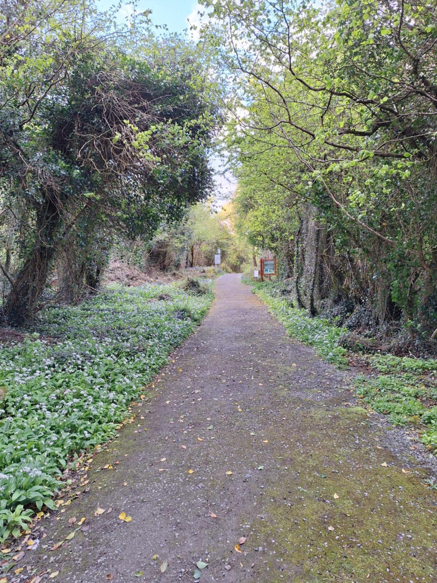 Ard Aoibhinn Roscommon Lecarrow Eksteriør billede